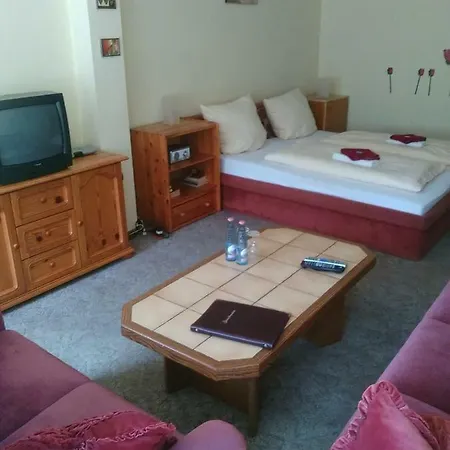 Bergschlosschen מלון 2*